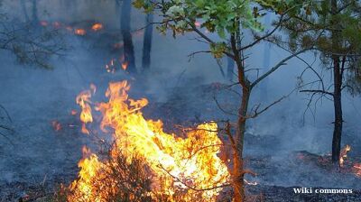 Fires engulf parts of North Macedonia due to extremely hot weather