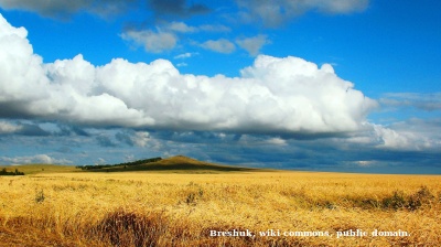 Kazakhstan’s food security hopes for the world undermined by food insecurities at home