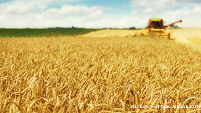 bneGREEN: Climate change, war in Ukraine and rising prices create perfect storm threatening global food security