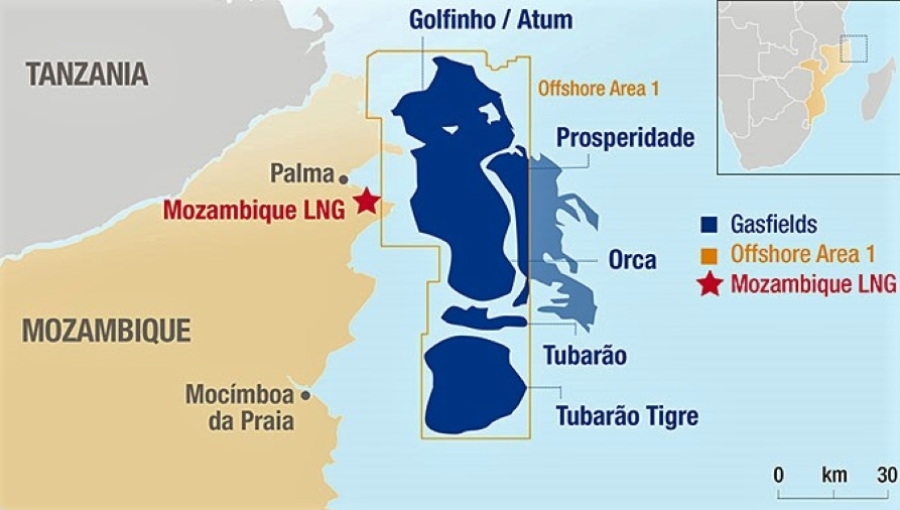Total's LNG plant will process gas from Area 1