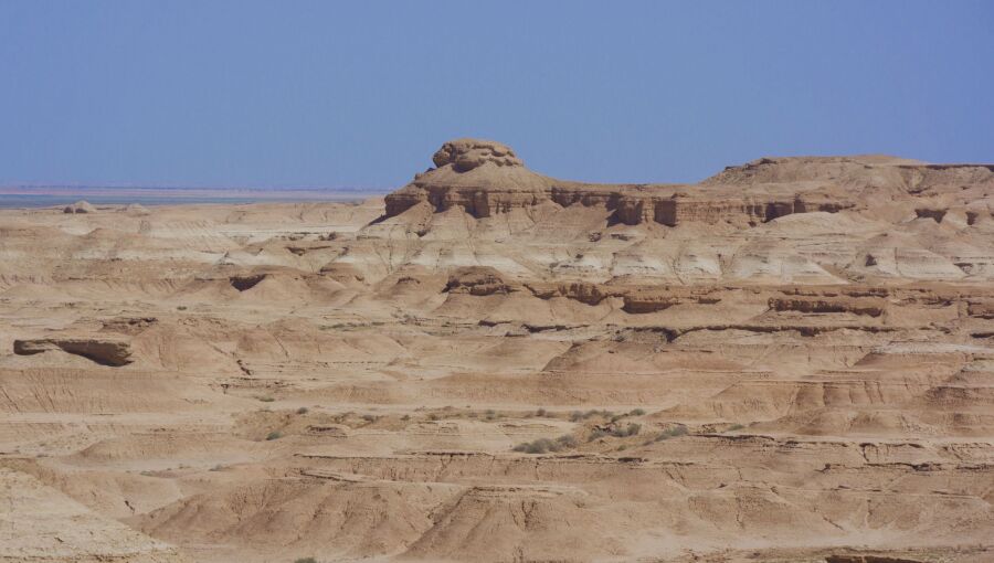 Iraq facing worst drought in history as water resources dwindle and climate crisis intensifies.