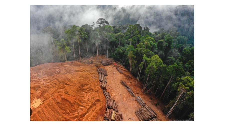 The EU's new Anti-Deforestation regulations are supposed to come online this year and will pose several challenges for Brazil, a big exporter of agricultural products to Europe that will be affected by the new rules.