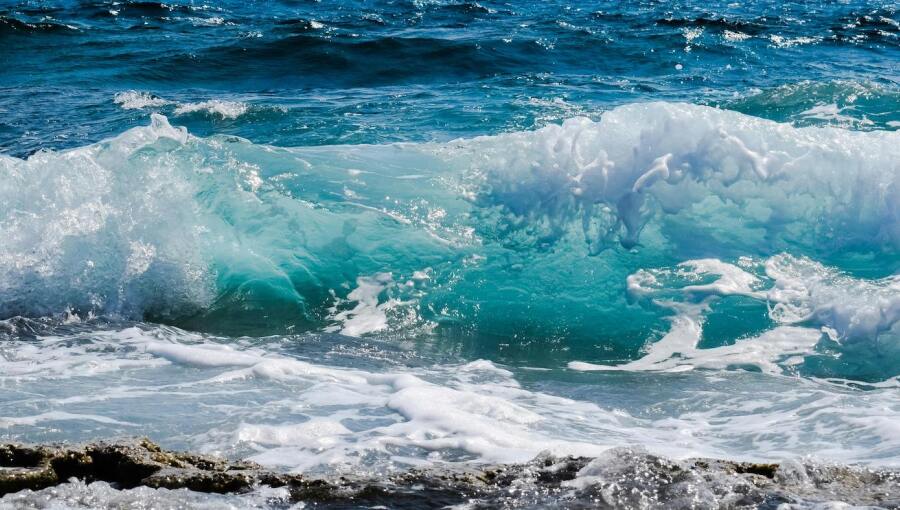 In the past 15 months, global sea surface temperatures have surged to unprecedented levels, fuelling heatwaves, and have accelerated the melting of sea ice, alarming scientists and environmentalists alike.