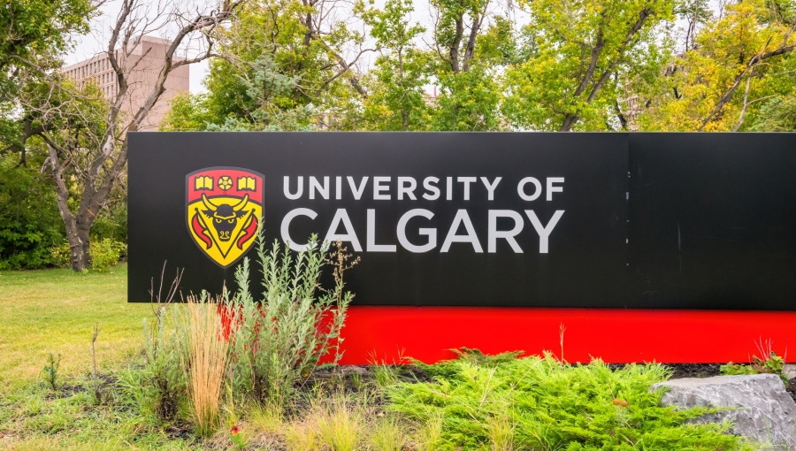 INTERVIEW: Revamping oil and gas learning.