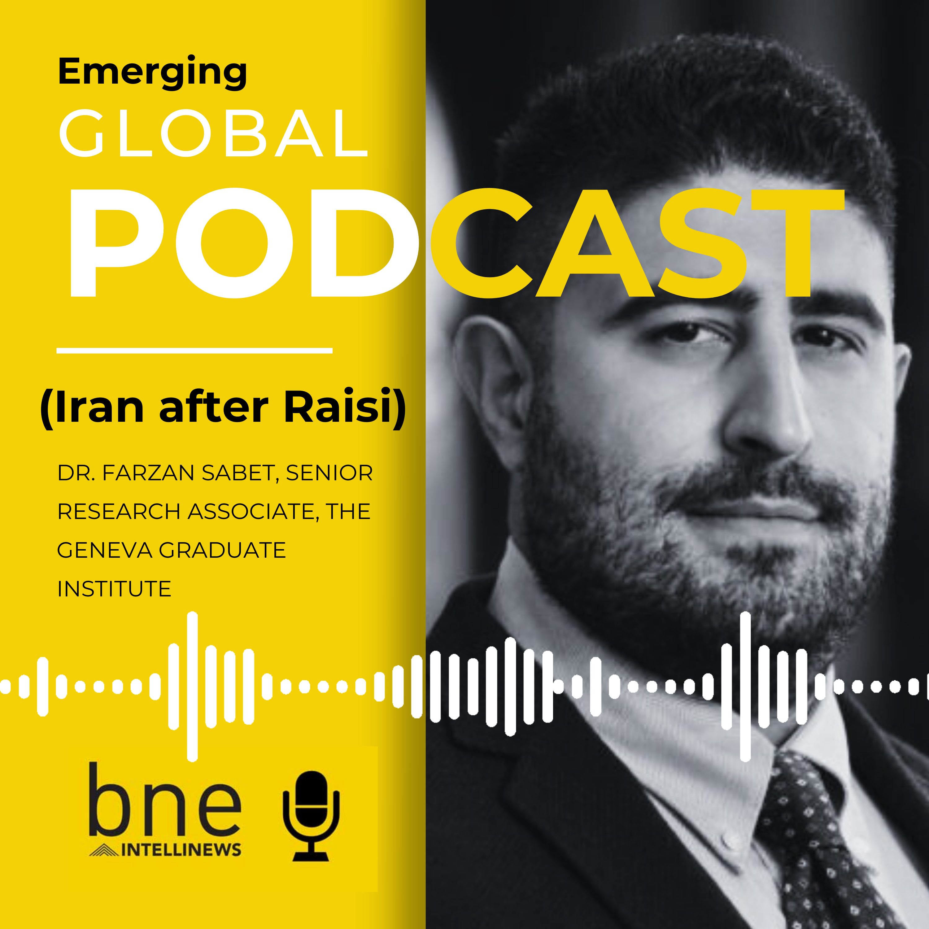 bne IntelliNews - Emerging Global - Farzan Sabet - Vimarsana News