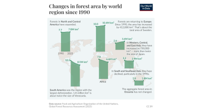 Since 1990, global forest trends have diverged, with continued losses in South America and Africa offset by expanding forest cover in Europe, North America and parts of Asia.