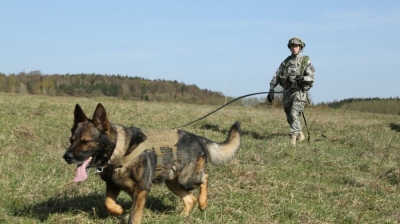 CEE leaders call for Nato troops to help deter Russian aggression