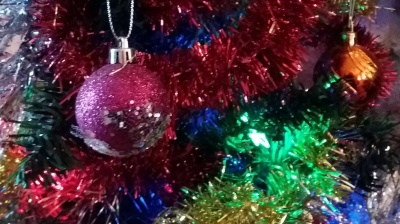 Croatians urged to buy local Christmas trees as exports fail to take off