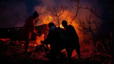 International aid rushed to battle wildfires in Iran’s ancient Hyrcanian forests