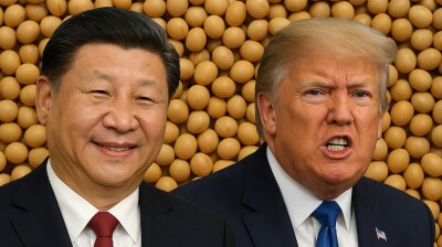 COMMENT: China trumps Trump on soy 
