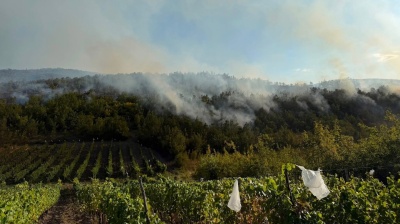 North Macedonia battles wildfires and water contamination as Europe’s drought intensifies