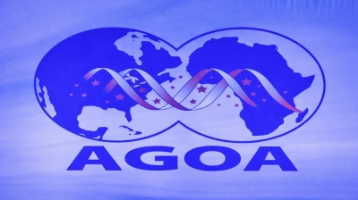Washington renews US-Africa trade pact AGOA for single year; Trump's tariffs still bite 