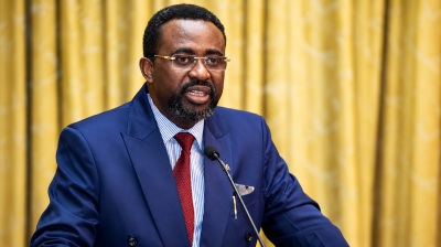 Bank of Ghana governor warns Africa's domestic debt boom is shifting risk to lenders