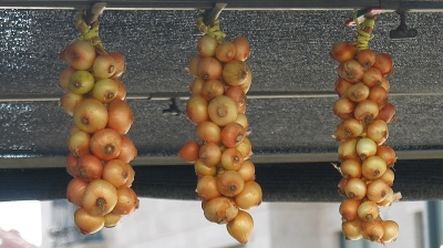 Dice with Turkey’s “onion crisis” at your peril