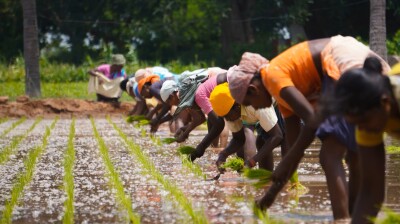 India shields agriculture and dairy in US trade pact