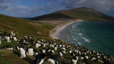Argentina and UK trade barbs over Falklands as US said to rethink neutral stance