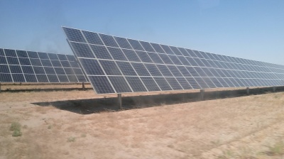 TCHAKAROV: New shade of success? Think Uzbek green!