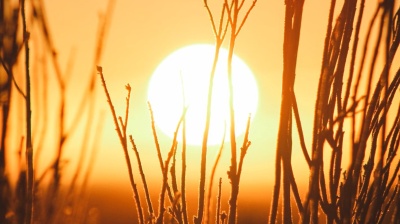 Heat wave claims 11 lives in South Korea as temperatures surge