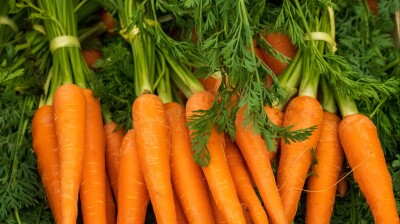 Asian carrot smuggling ring busted in the Philippines