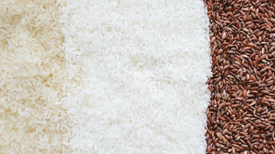 Philippines halts rice imports for 60 days hurting Thai exports