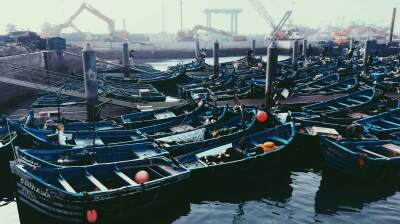 Indonesia’s $80bn giant seawall