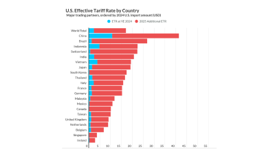 US effective tariff rate at 17% after July duties adjustment - Fitch