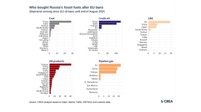 Europe remains Russia's number one biggest importer of gas, top five importer of oil in August