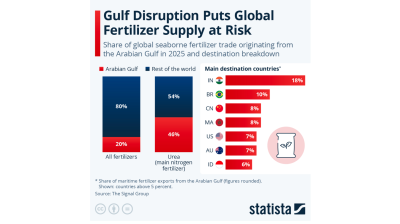 Gulf disruption puts global fertilizer supply at risk – STATISTA 