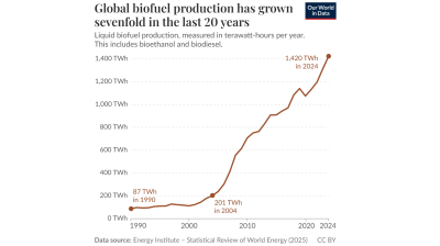 The production of biofuel has grown sevenfold in the last 20 years led by Brazil and the US.