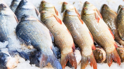 Vietnam’s seafood exporters navigate headwinds amid signs of recovery