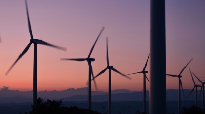 Vietnam's Ca Mau starts construction of wind farm