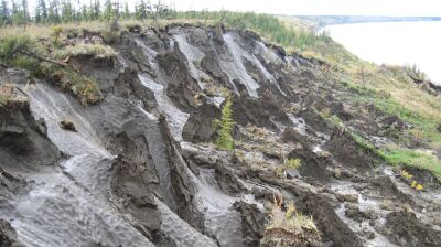 Siberian permafrost could disappear by 2100 as rapid thawing accelerates
