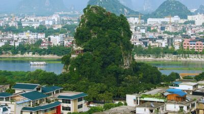China reports 8,000 chikungunya cases as mosquito-borne virus spreads globally