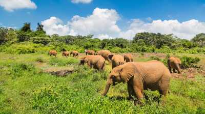 Flydubai expands Kenya operations with new Nairobi flights and increased Mombasa services