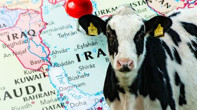 Foot-and-mouth disease outbreak threatens to destroy Iran's livestock sector