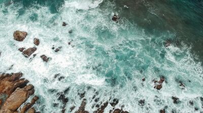 Coastal seas turning acidic at alarming rate, scientists warn