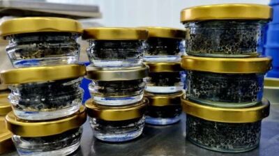 Uzbekistan opens market to Iranian caviar producers 