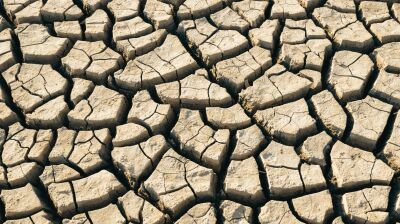 Water shortages leave 40 villages in Iraq's Diyala facing severe drought