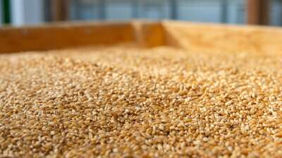 Argentina reinstates grain export taxes after $7bn sales cap reached