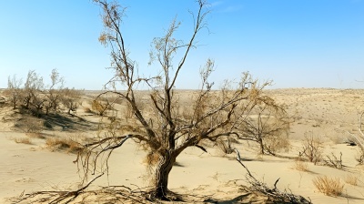 Expert views: Addressing water-management challenges in Central Asia
