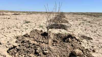 Central Asian states stepping up efforts to tackle water-related challenges