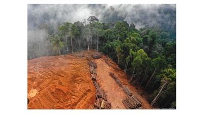 COP30 didn’t go far enough to address the Climes Crisis – Carbon Brief 