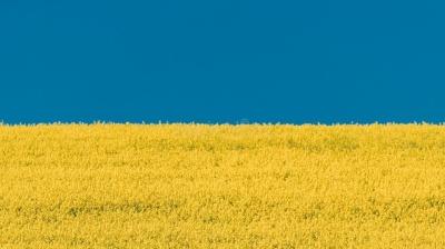 Investment in a time of war: Ukraine's resilient economy 