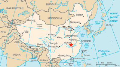 Multimodal China-Kyrgyzstan-Uzbekistan rail and road freight route goes into operation
