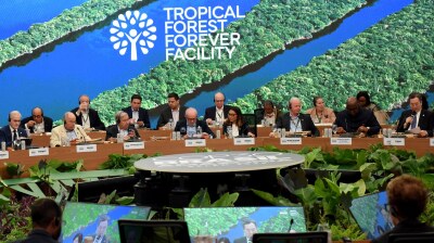 COP30: Brazil's $125bn forest initiative draws support from dozens of nations