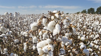 Global textile trade's hidden water costs threaten emerging market supply chains