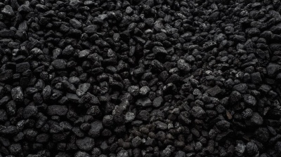 Western Balkans coal plants continue to breach pollution limits despite legal deadlines, report says