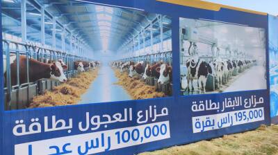 Iraq launches $2bn dairy and food industry projects in Karbala
