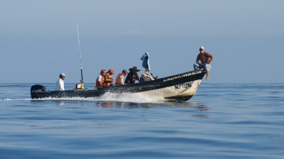 Vietnam’s pangasius industry faces paradox as exports soar but domestic demand lags