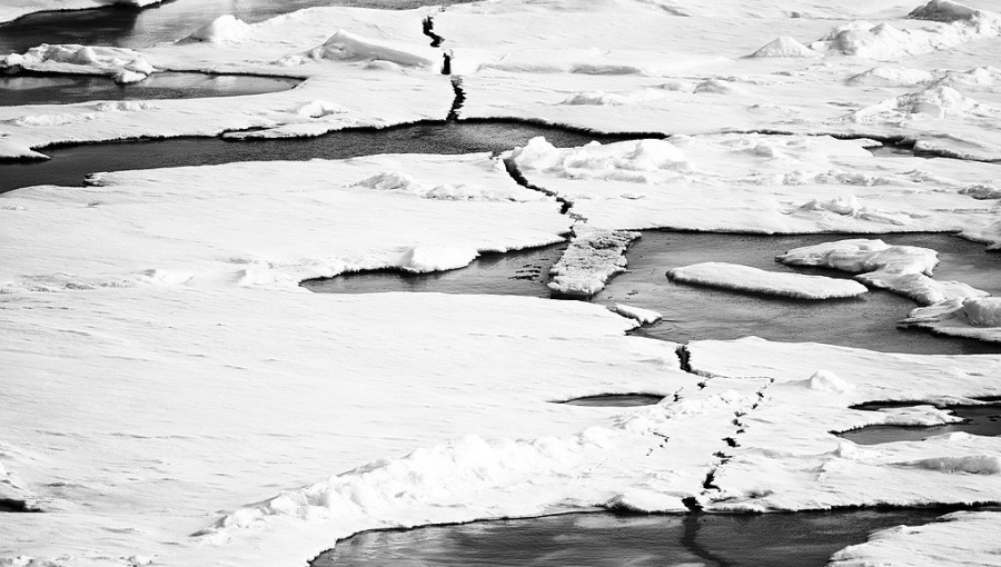 The North Pole has experienced soaring temperatures 20°C above average and topping the melting point.